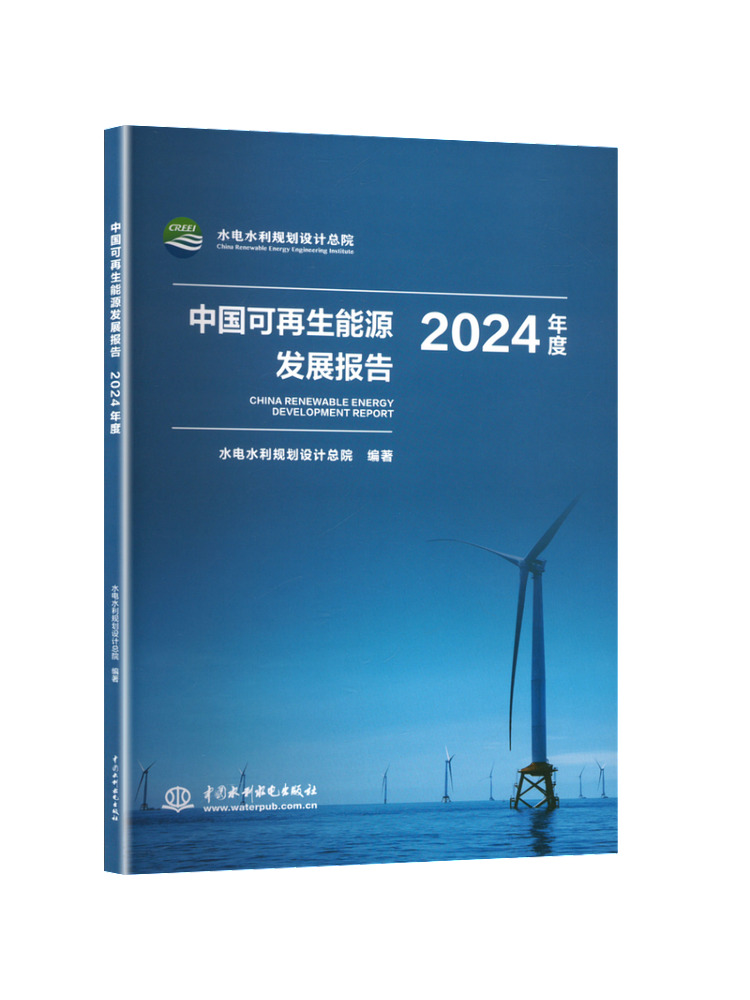 Libro - Informe de Desarrollo  - Renewable Energy Books reseña y precio